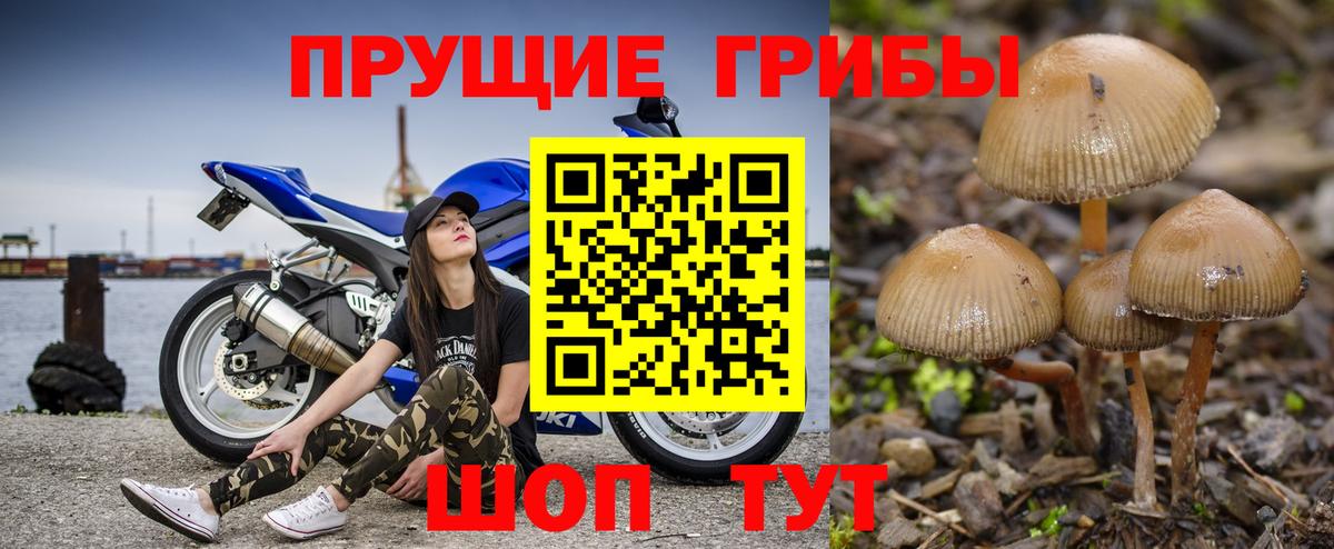 Кыштым  Псилоцибиновые грибы MAGIC MUSHROOMS  Вход с VPN  Галлюциногенные грибы Cubensis 