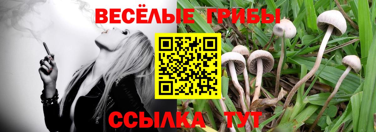 Галлюциногенные грибы GOLDEN TEACHER Кыштым